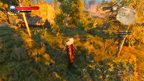 where to get saltpeter witcher 3|Where to find Saltpeter in the Witcher 3 .